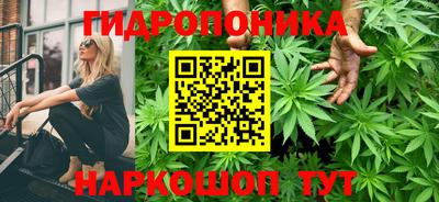 прущие грибы Волгодонск