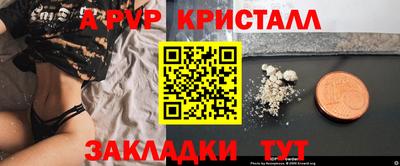 прущие грибы Волгодонск