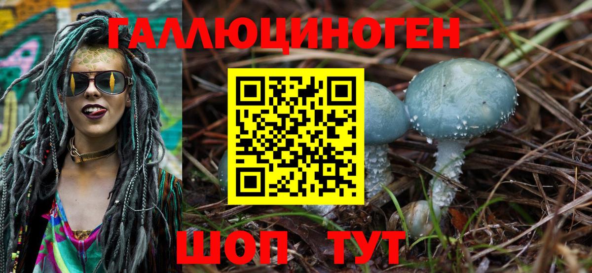 Псилоцибиновые грибы мицелий Карасук