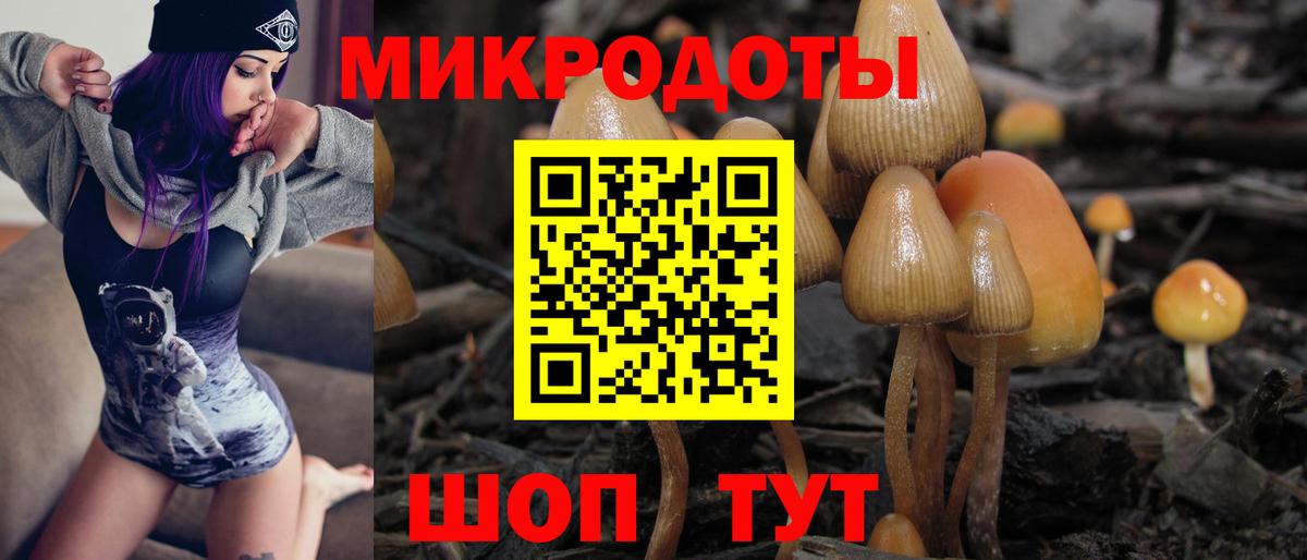 Карасук  Галлюциногенные грибы MAGIC MUSHROOMS  Вход с VPN  Псилоцибиновые грибы мицелий 